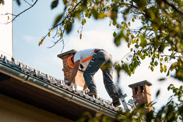 Best Roof Moss and Algae Removal  in San Leon, TX
