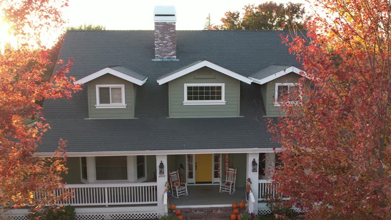 Best Roof Insulation Installation  in San Leon, TX